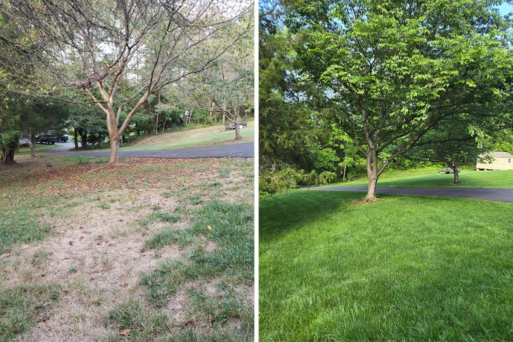 Revive Your Lawn: The Power Duo of Aeration and Overseeding 20