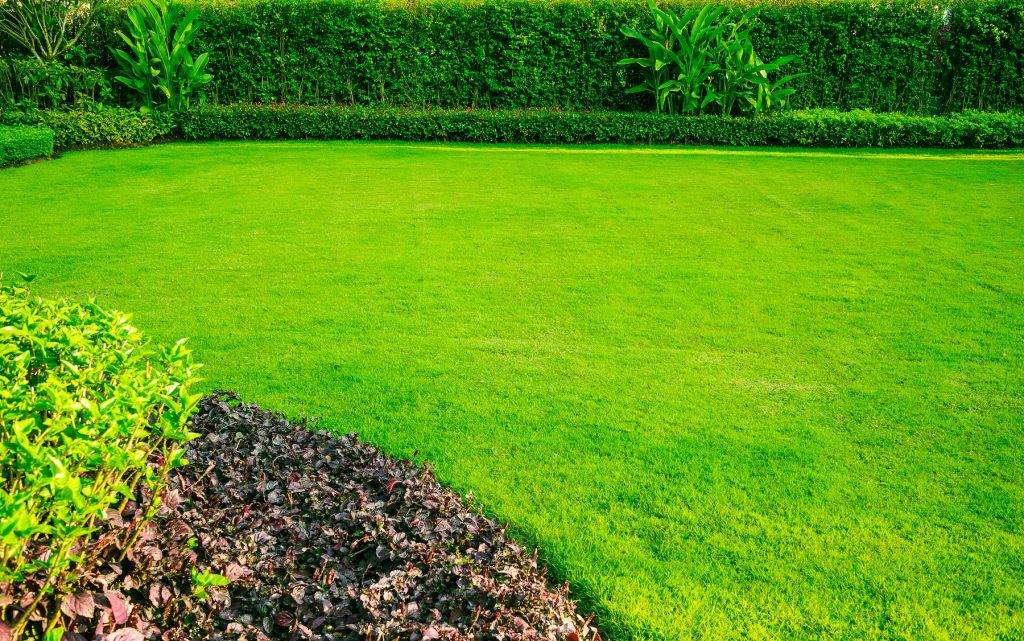 Autumn in Virginia: The Best Time to Rebuild a Lush Lawn 12