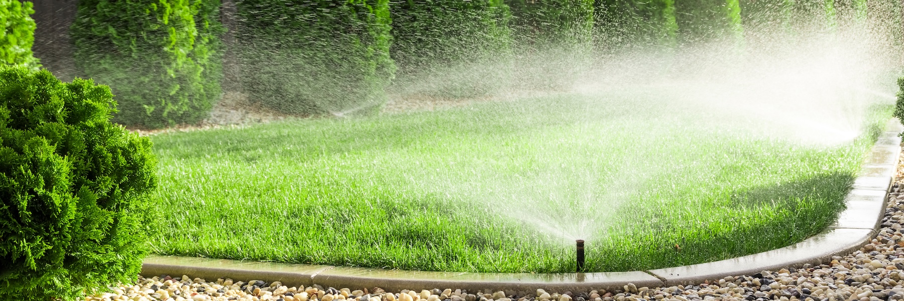 How to Care for your Lawn this Autumn 4