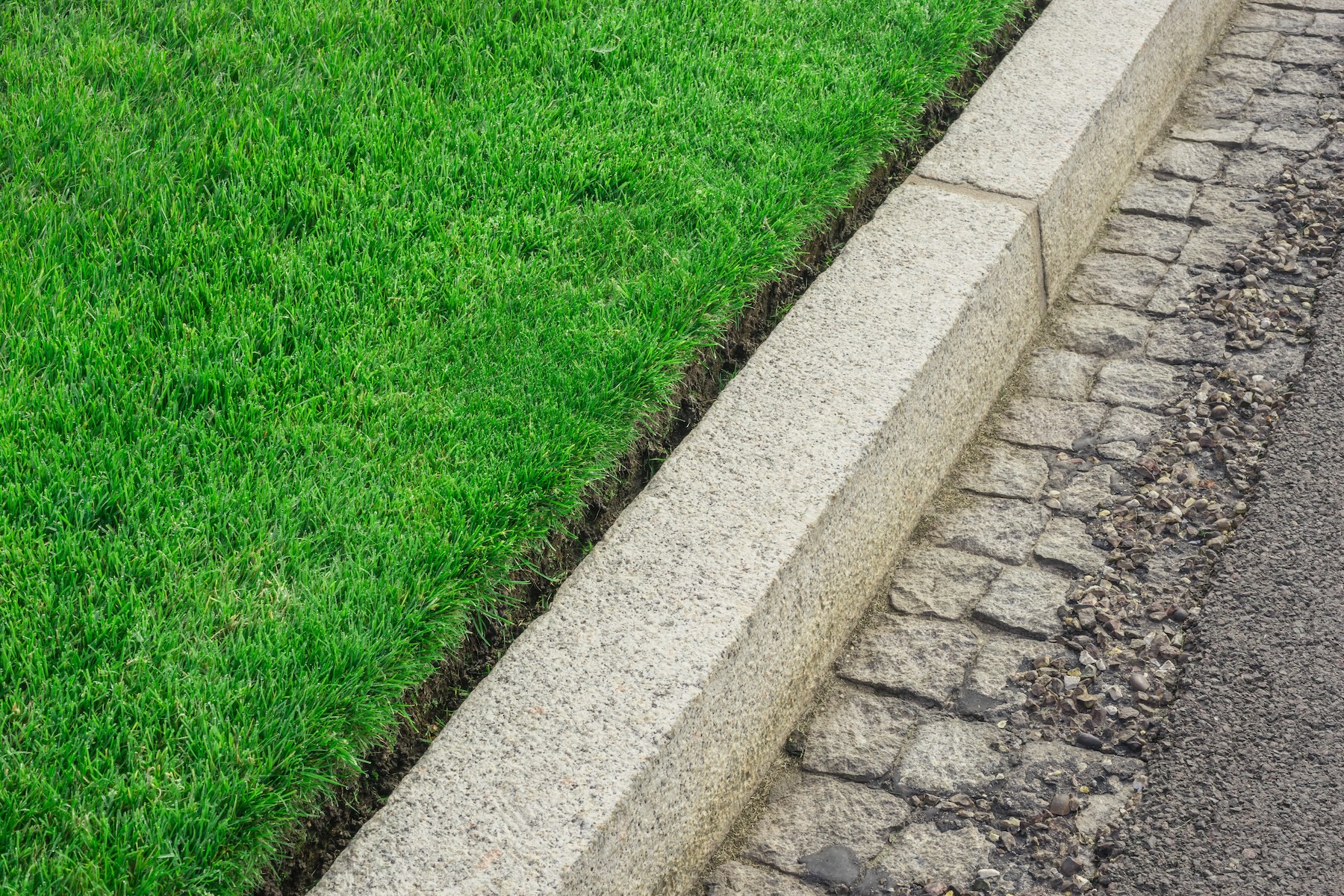 How to Care for your Lawn this Autumn 6