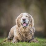 April Showers & Lawn Care: What Spring Rain Really Means for Your Yard