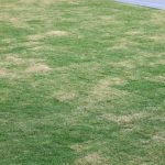 We are (still) in a moderate to severe Drought in the Northern Virginia Area