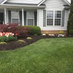 September Lawn Care: Set Your Yard Up for Success This Fall