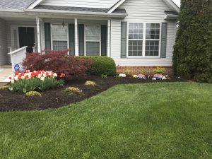Read more about the article September Lawn Care: Set Your Yard Up for Success This Fall
