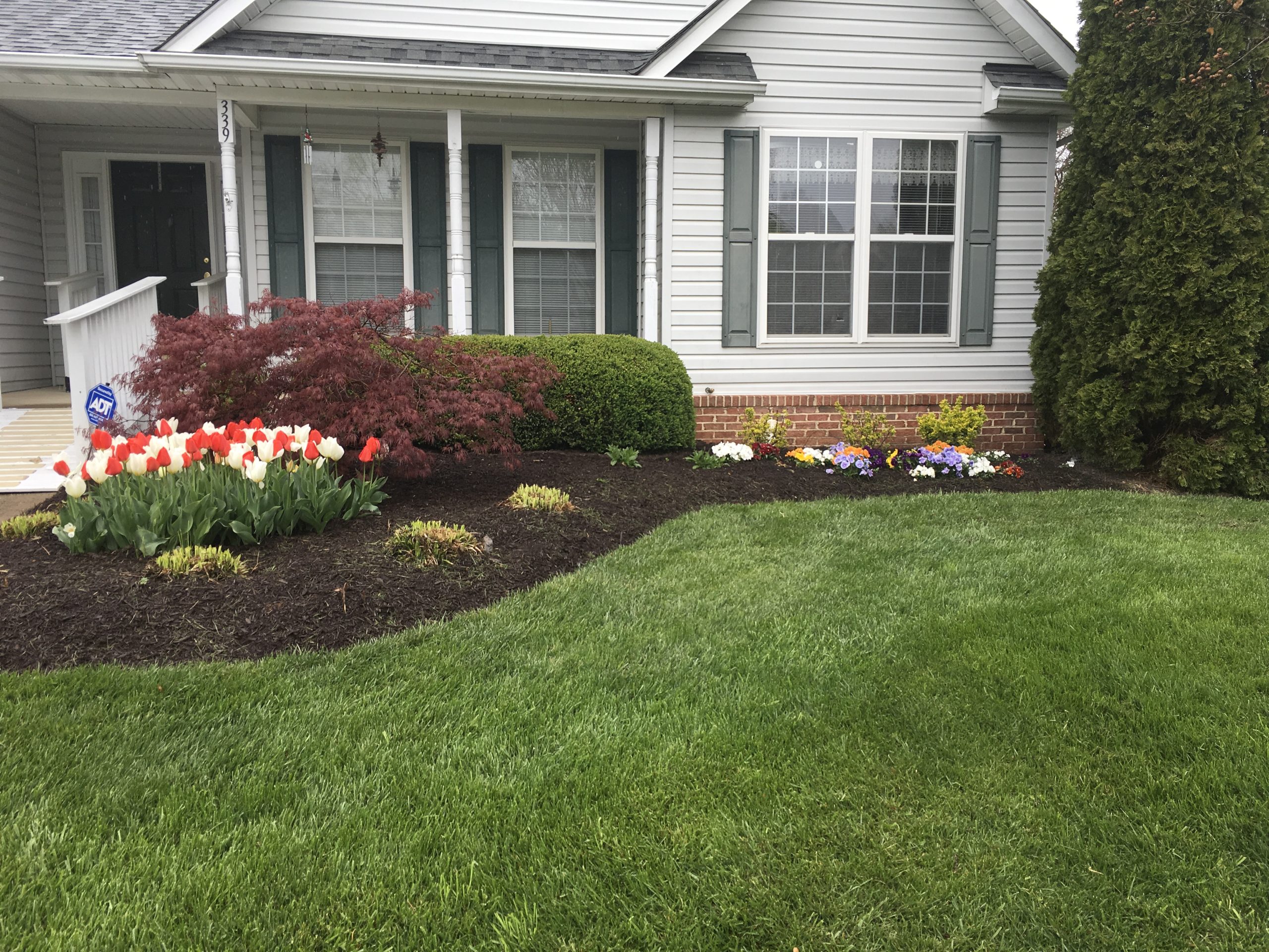 Read more about the article September Lawn Care: Set Your Yard Up for Success This Fall